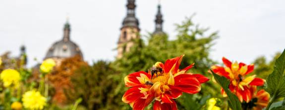 Überraschend vielfältig